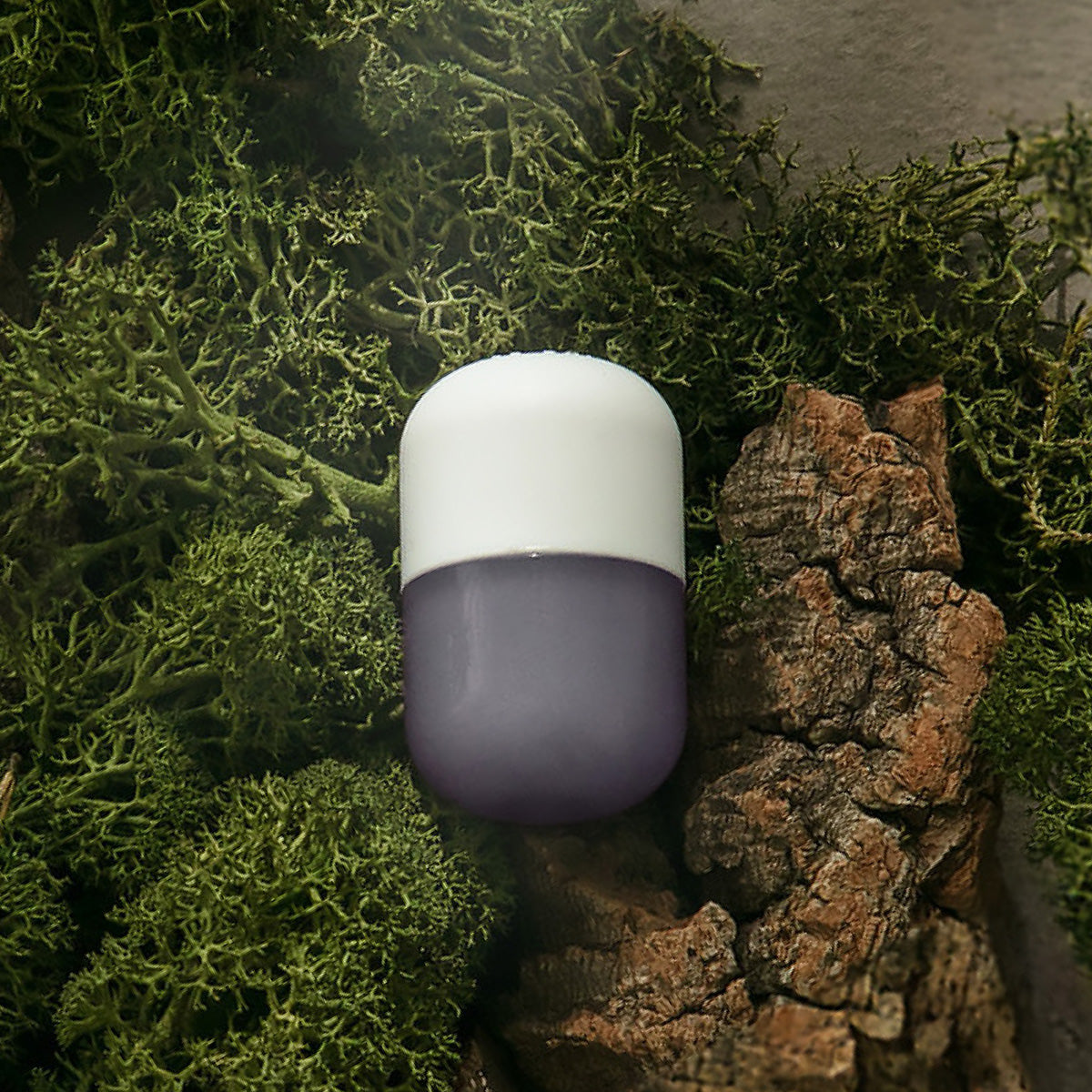 Vitamin Capsule Cedarwood Moss
