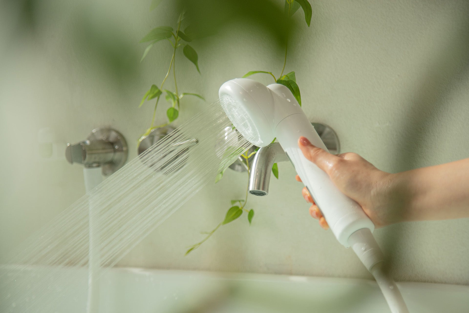Seven Dwarfs Photo Shower 美顔器 Limited Edition) SHIFT Filtered Shower Head - Special Colors